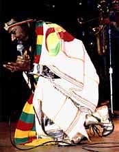 BWailer4.jpg (14585 bytes)