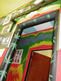 ani1.gif (499070 bytes)