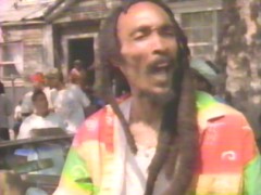 Israel Vibration - Feelin' Irie